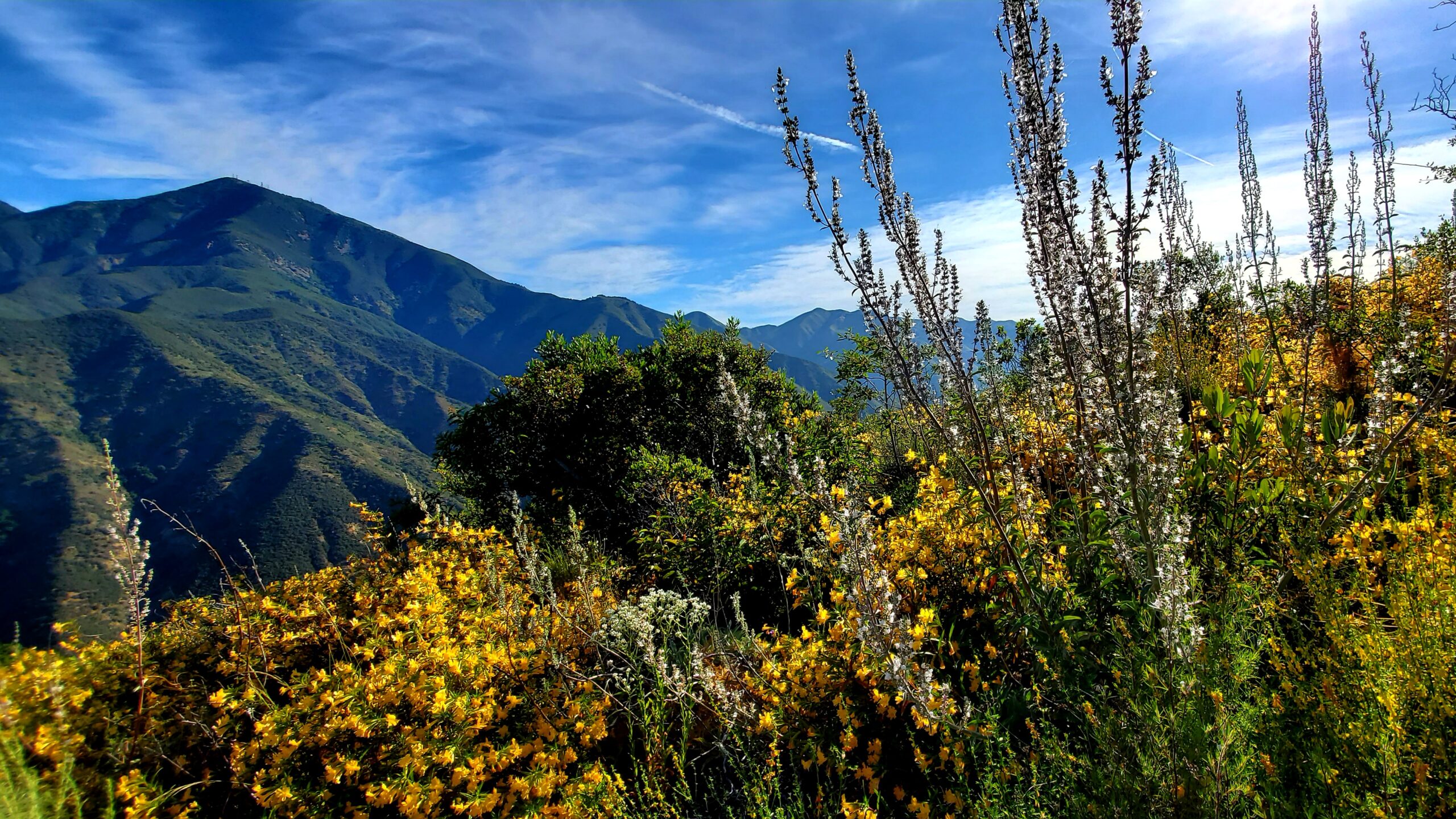 Los Pinos Peak