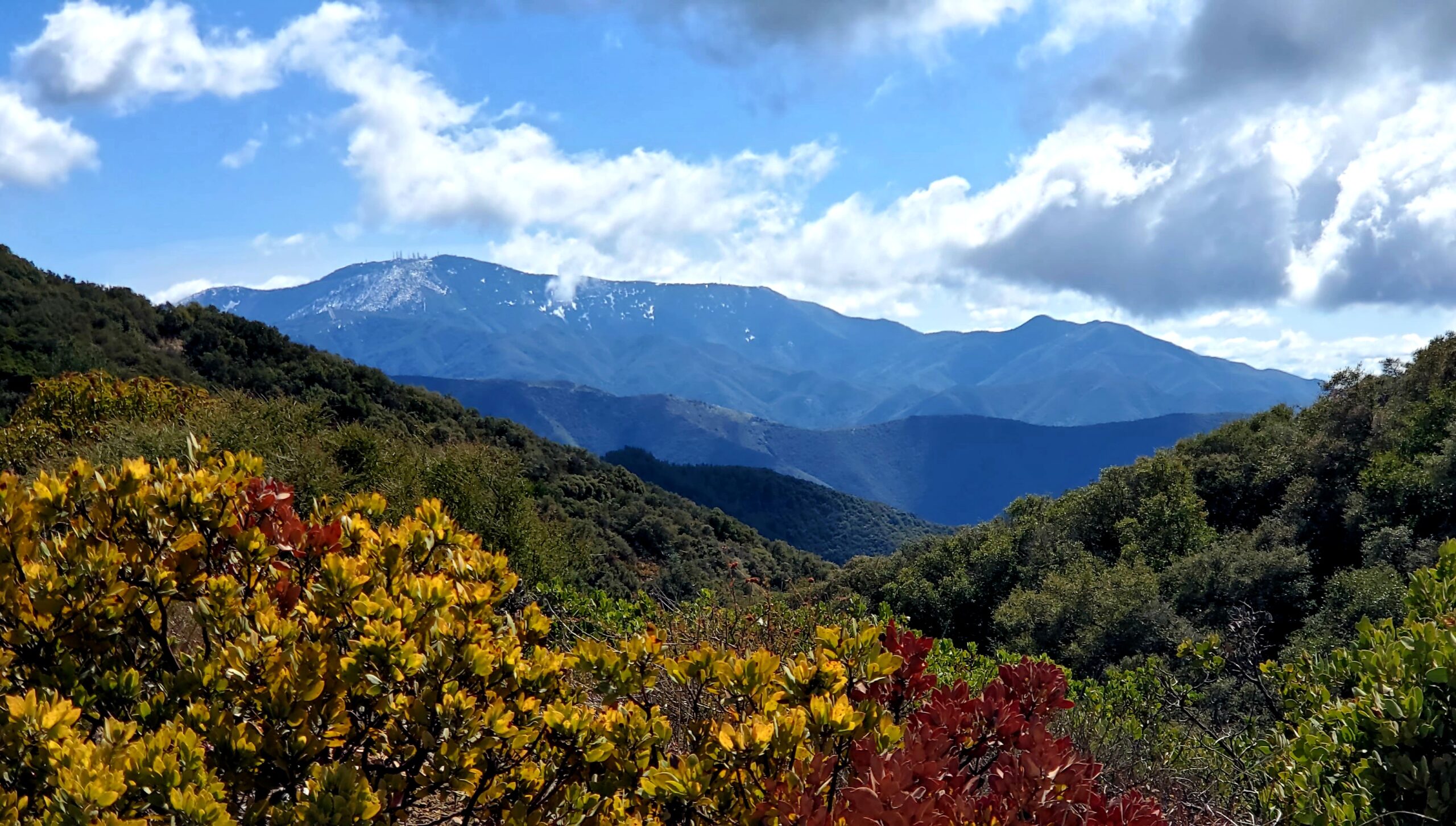 Pleasants & Hagador Peaks