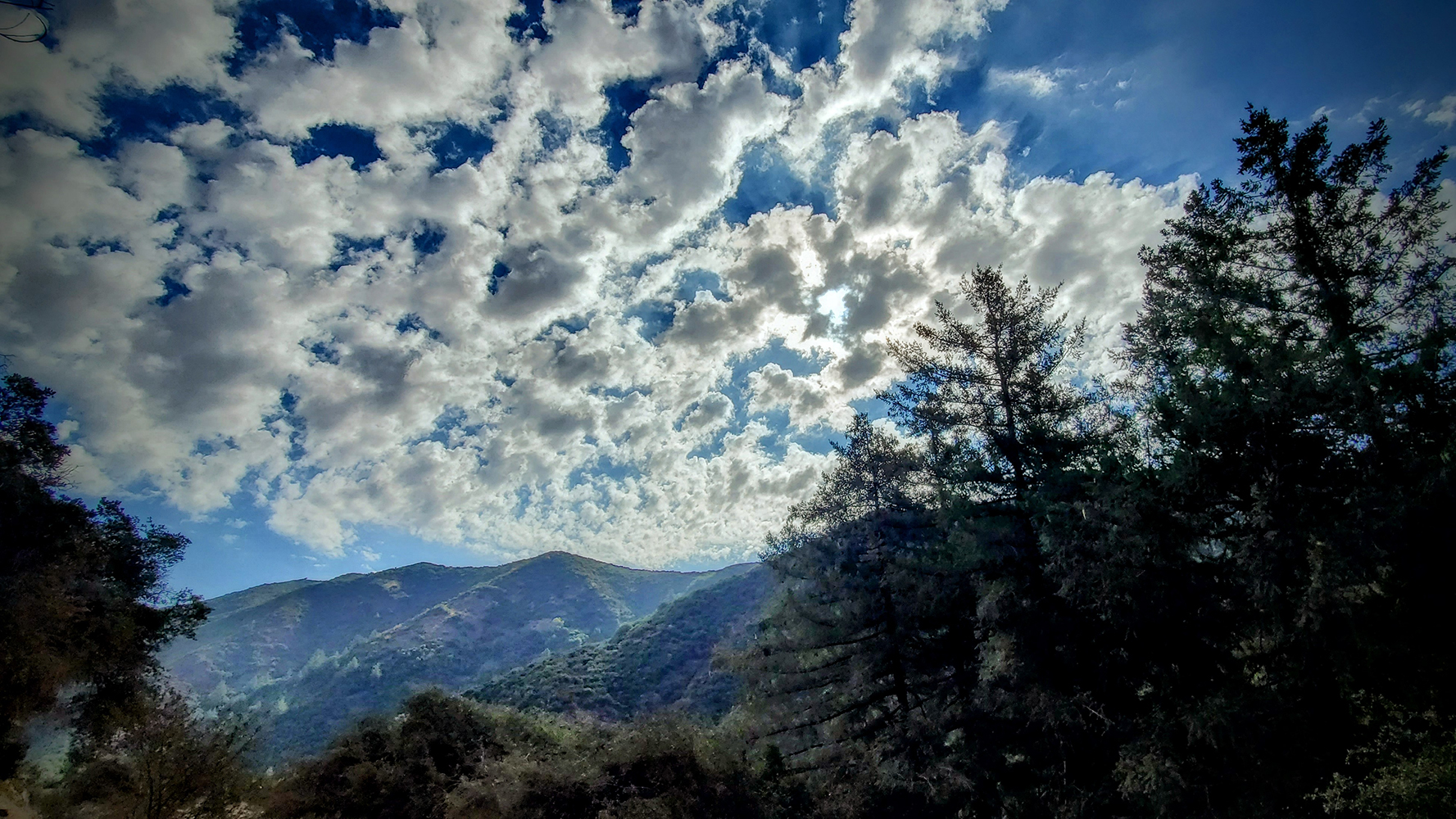Modjeska peak