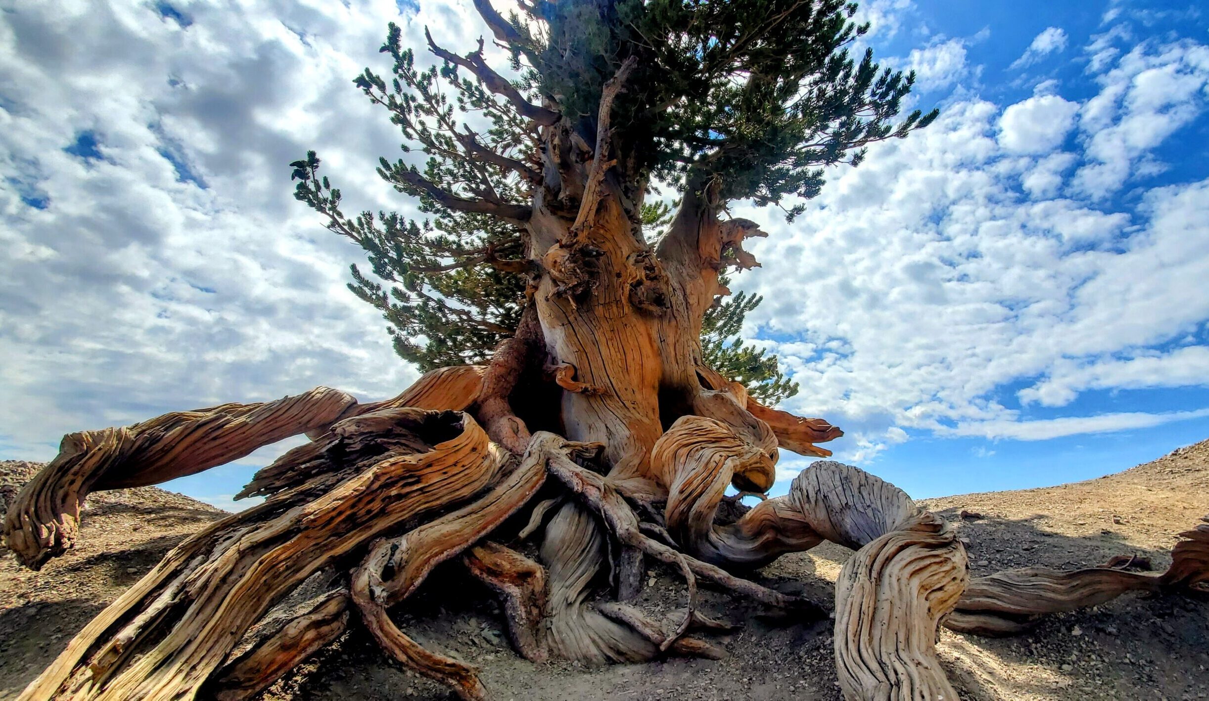 Mount Baden-Powell